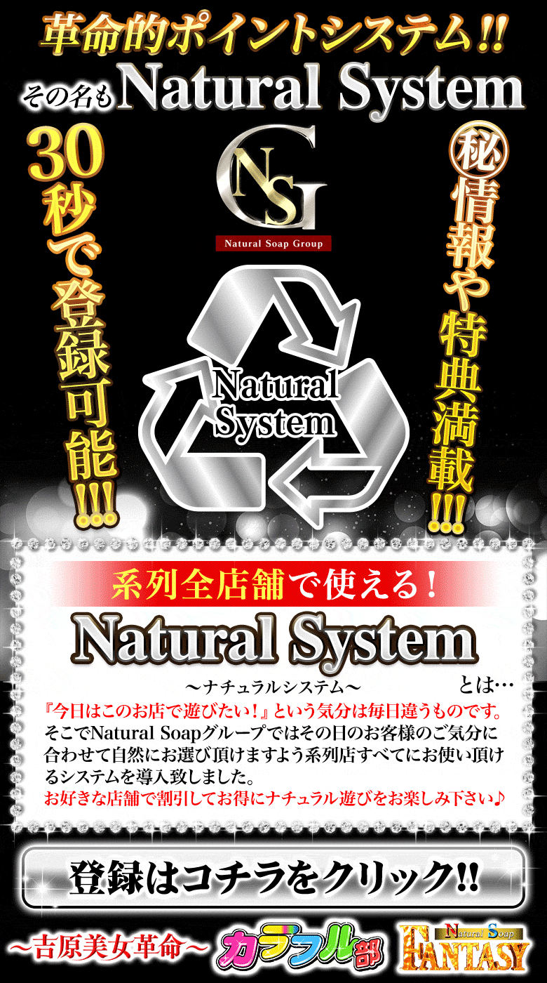 Natural Soap System