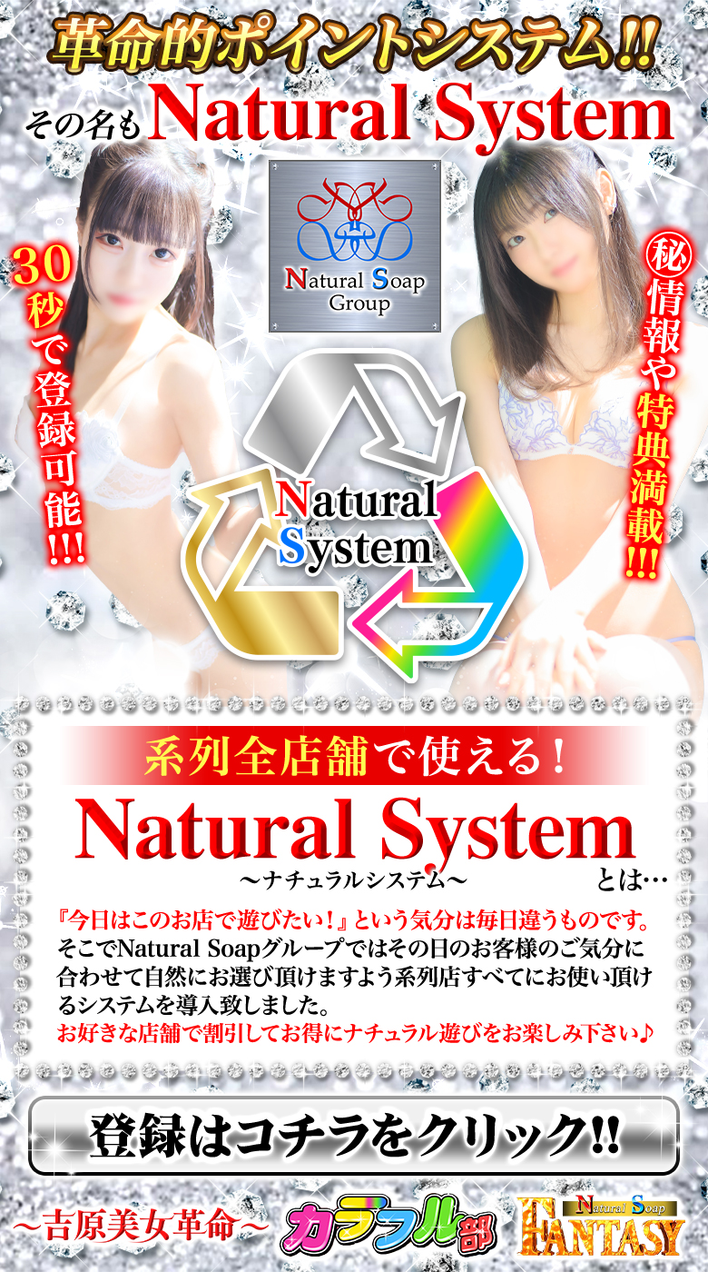 Natural Soap System